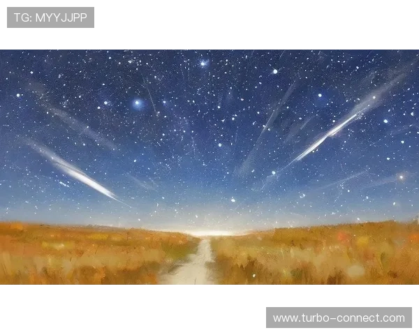 星空入口官方网站下载常见问题解答，解决你的所有疑问