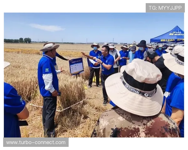 ob欧宝体育网页版账号注册流程详解及首次登录技巧和注意事项分析 ob欧宝体育网页版账号注册流程详解及首次登录技巧和注意事项分析