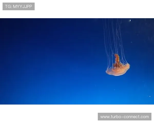 星空体育手机官方地址注册流程详解，快速创建账号开启多彩体育世界